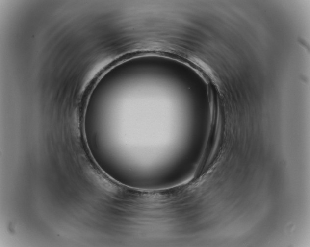 X0000096671120200802051216