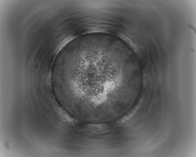 X0000096671121200802051216