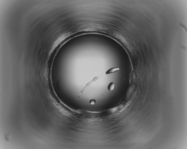 X0000096671122200802051216