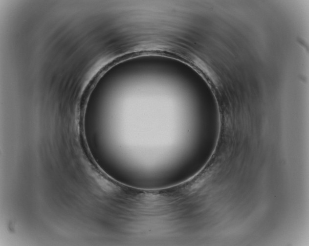 X0000096671124200802051216