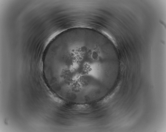 X0000096671125200802051216