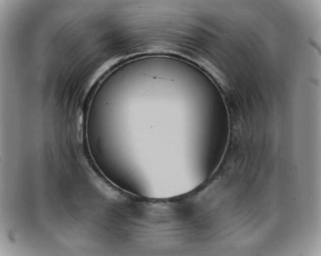 X0000096671126200802051216
