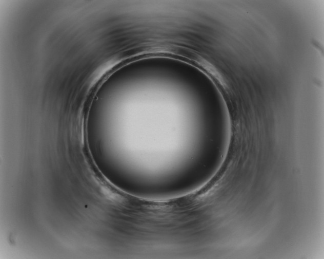 X0000096671127200802051216