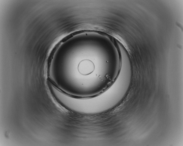 X0000096671128200802051216