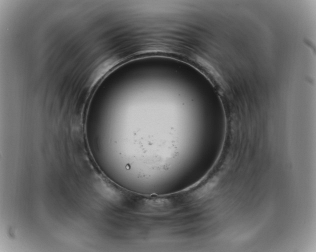 X0000096671129200802051216