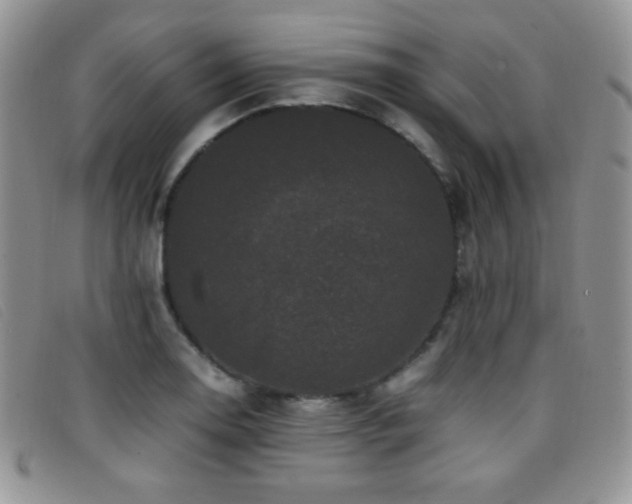 X0000096671130200802051216