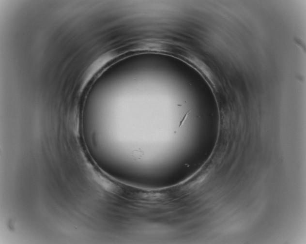 X0000096671131200802051216