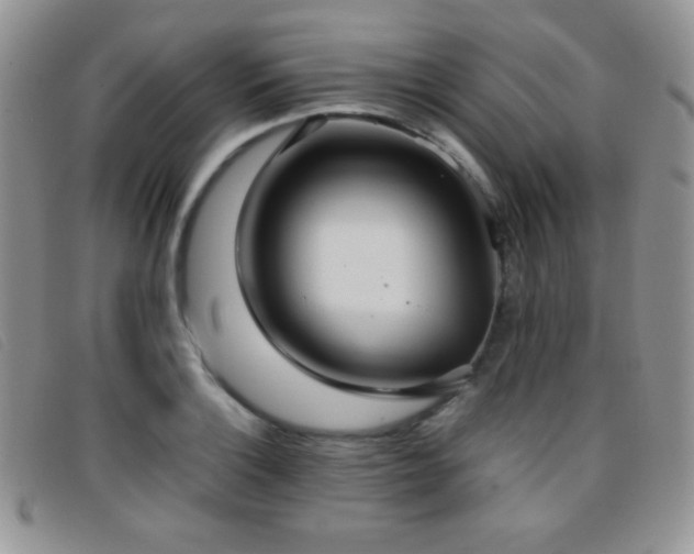 X0000096671132200802051216