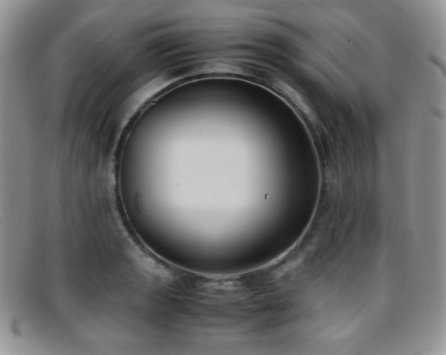 X0000096671133200802051216