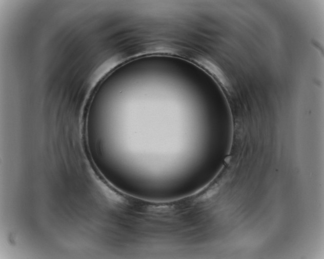 X0000096671135200802051216