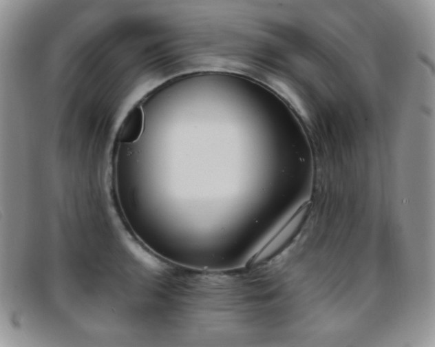 X0000096671136200802051216