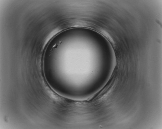 X0000096671138200802051216