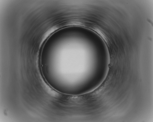 X0000096671139200802051216