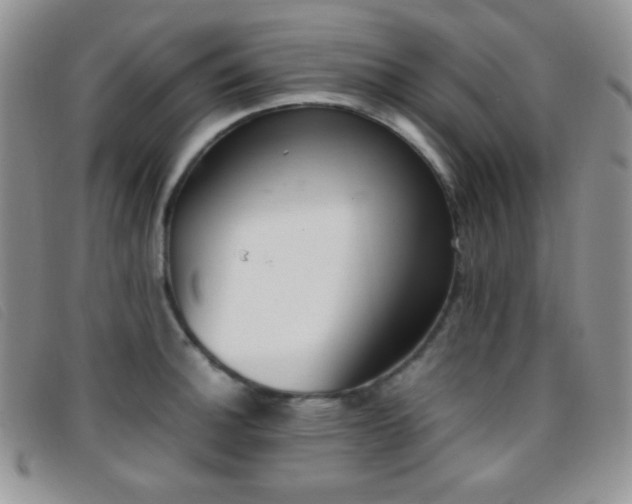 X0000096671140200802051216