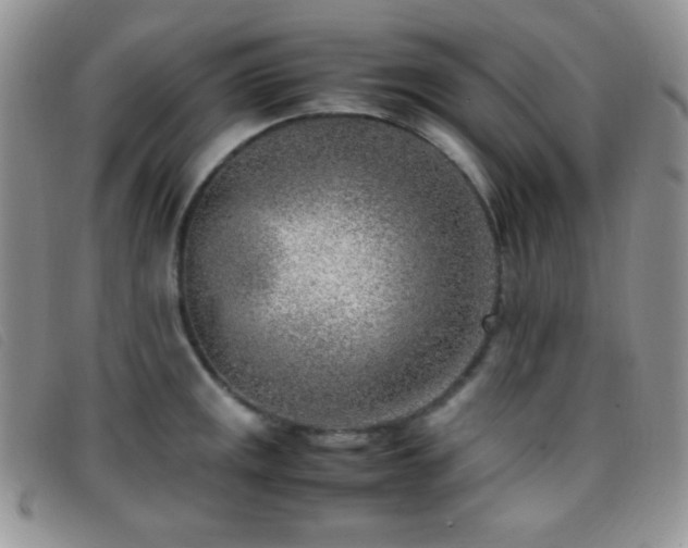 X0000096671141200802051216