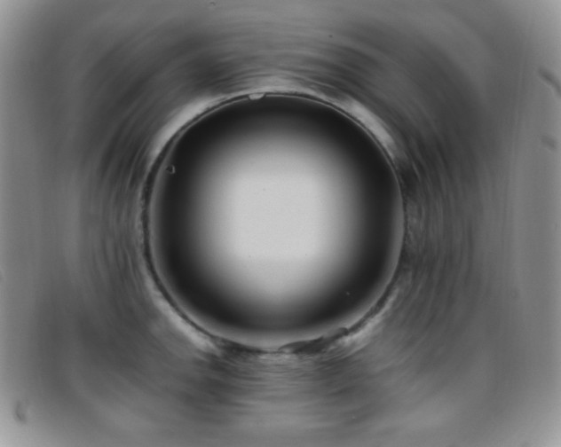 X0000096671142200802051216