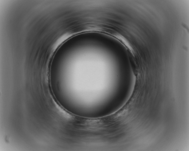 X0000096671143200802051216