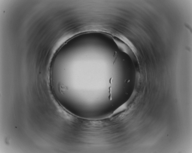 X0000096671144200802051216