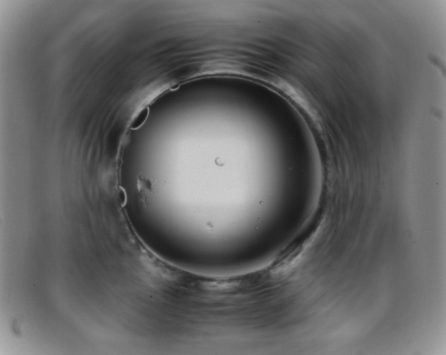X0000096671145200802051217