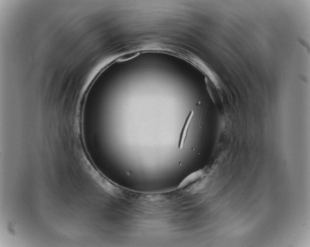 X0000096671148200802051217