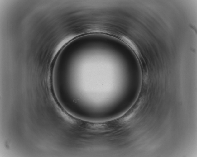 X0000096671149200802051217