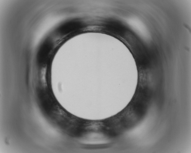 X0000096671150200802051217