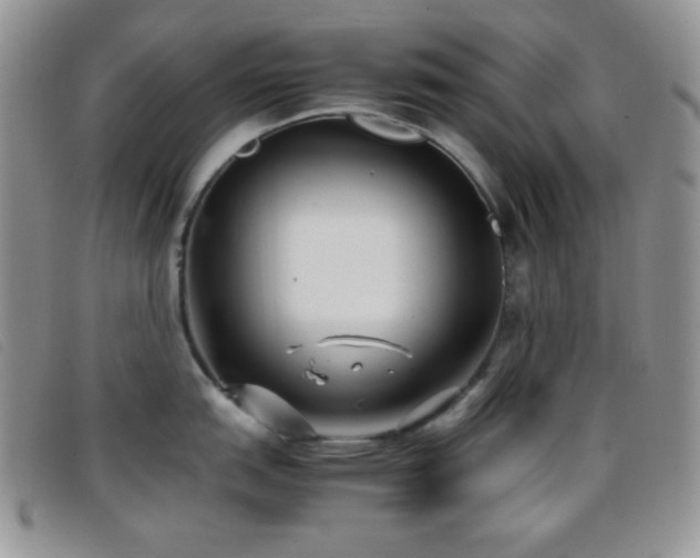X0000096671151200802051217