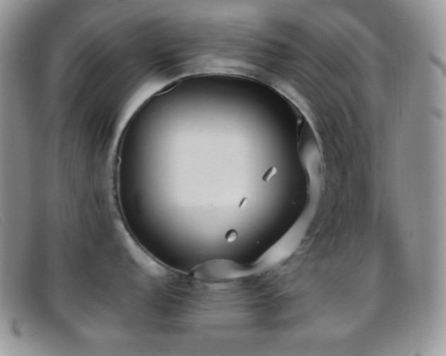 X0000096671152200802051217