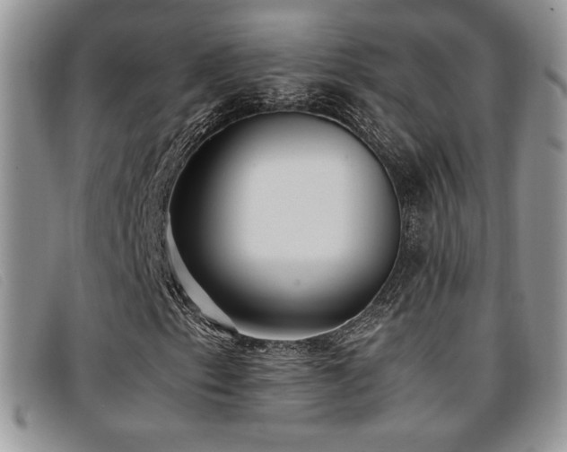 X0000096671153200802051216