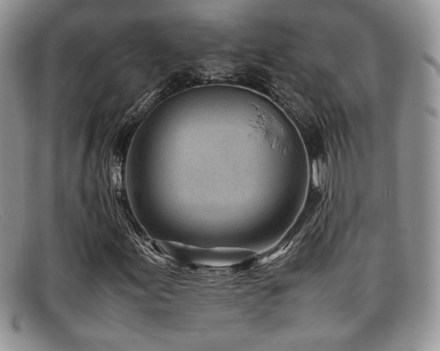 X0000096671155200802051216