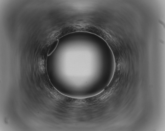X0000096671156200802051216