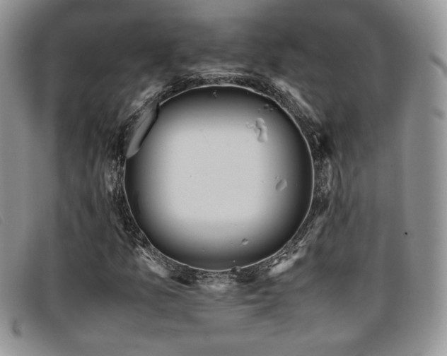 X0000096671157200802051216