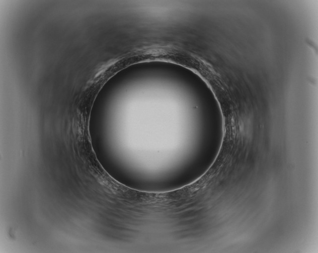 X0000096671158200802051216