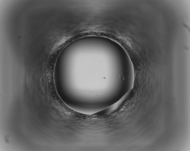 X0000096671159200802051216