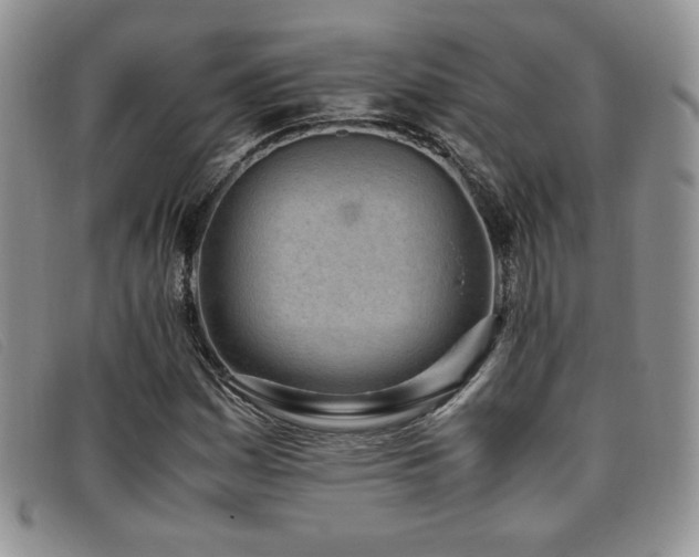 X0000096671161200802051216
