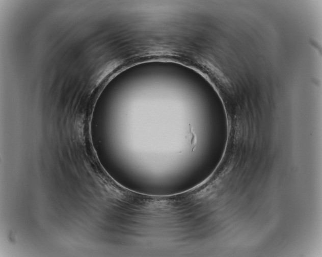 X0000096671162200802051216