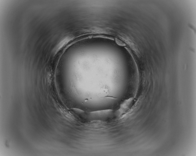 X0000096671163200802051216
