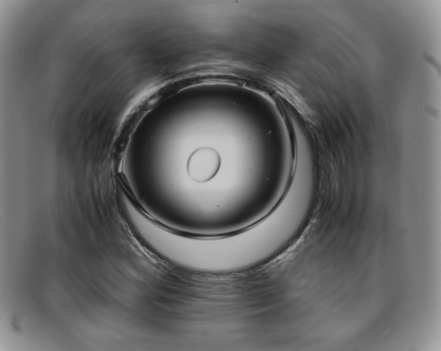 X0000096671164200802051216