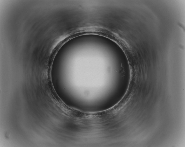 X0000096671166200802051216