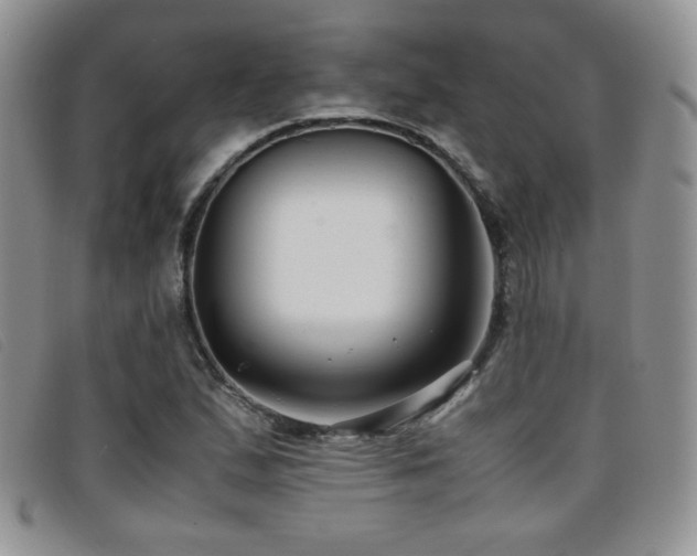 X0000096671167200802051216