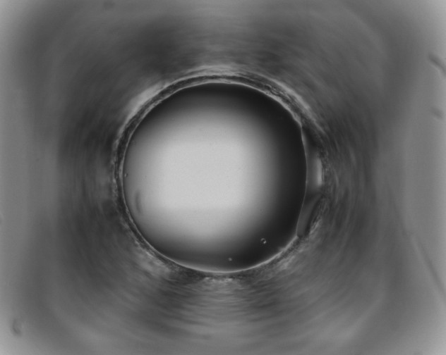 X0000096671168200802051216