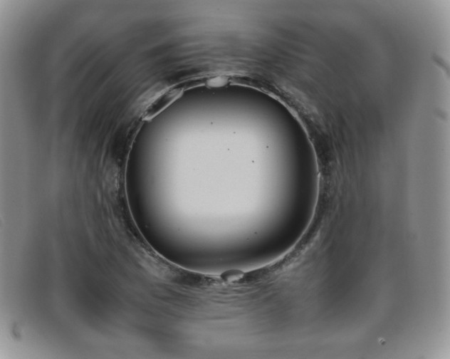 X0000096671169200802051216