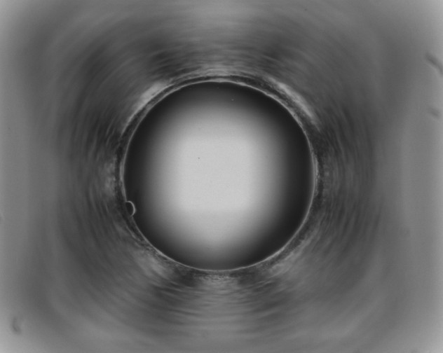 X0000096671170200802051216