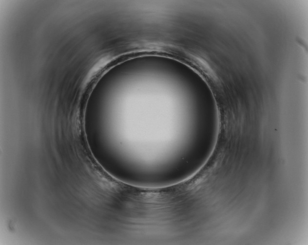 X0000096671172200802051216