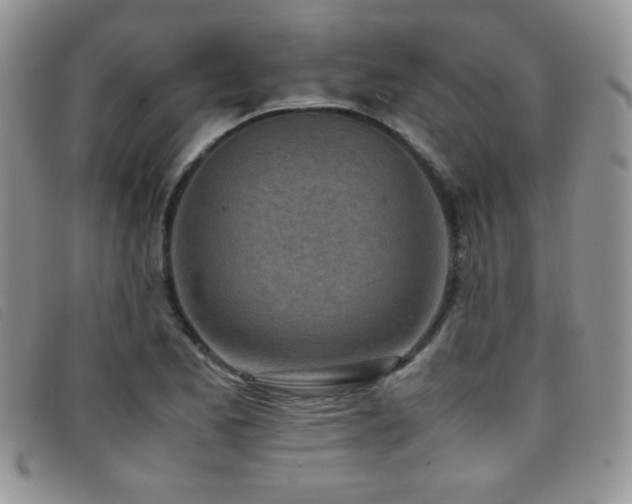 X0000096671173200802051216