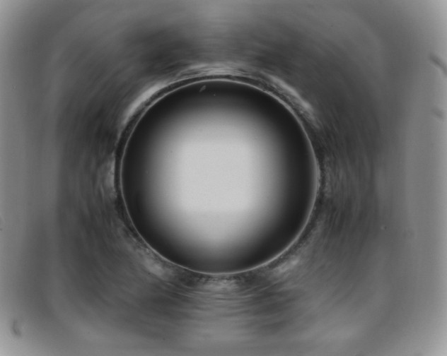 X0000096671174200802051216