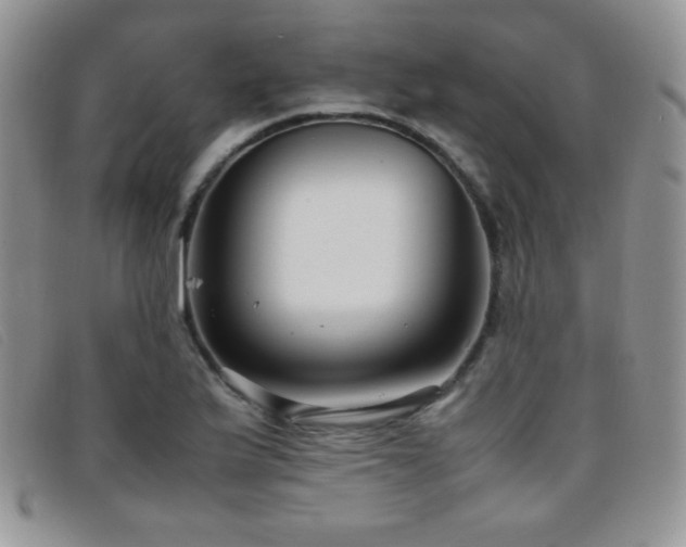 X0000096671175200802051216