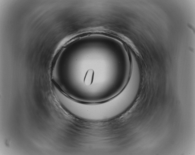 X0000096671176200802051216