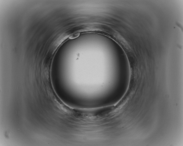 X0000096671177200802051216