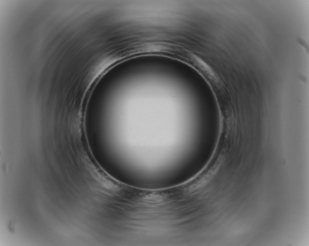 X0000096671178200802051216